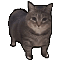 bbbbbbai