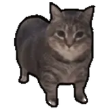 bbbbbbai