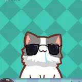hungry cat