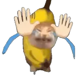 Xxxxx