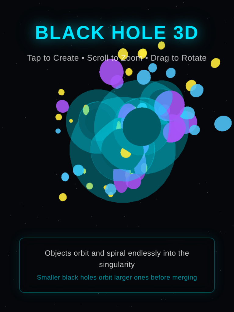 Black Hole Simulator